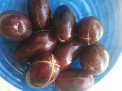 Brinjal Fry