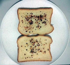 Cheese Bread