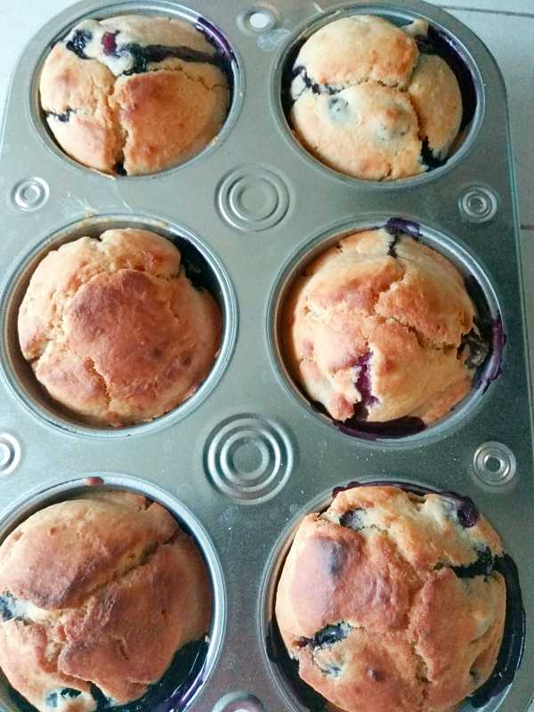 Blueberry Muffins