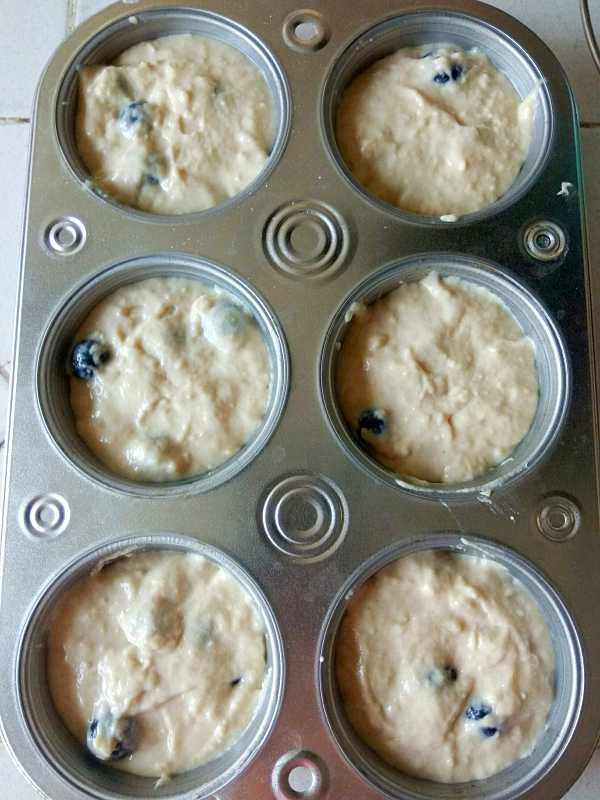 Blueberry Muffins